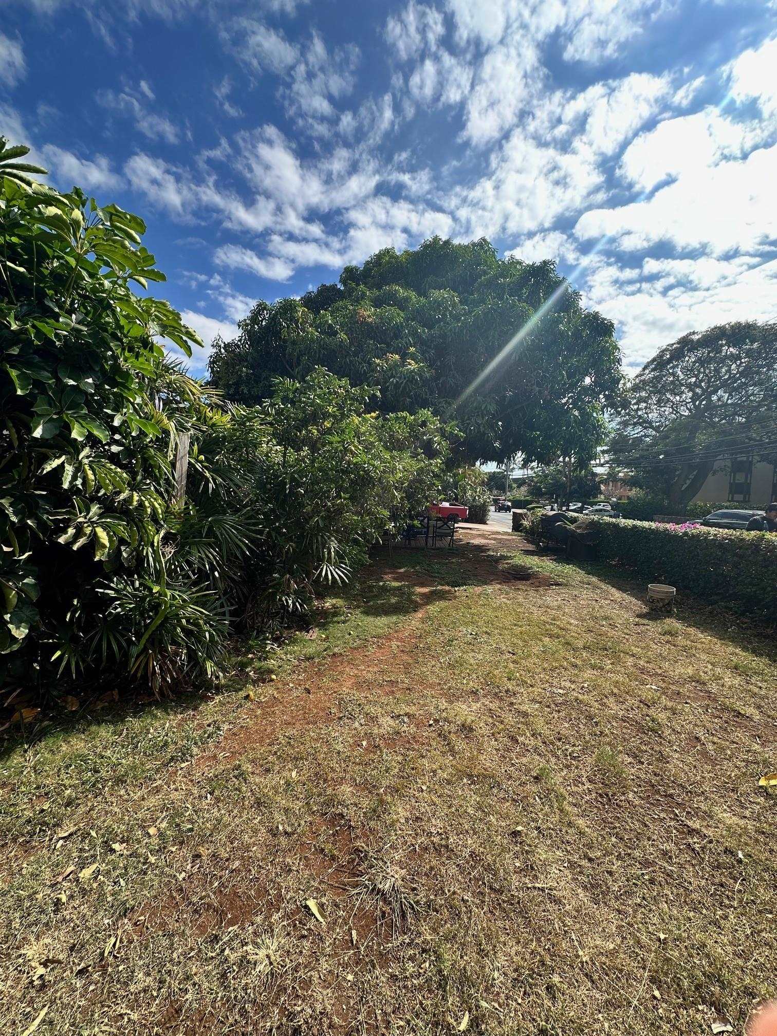 3816 Lower Honoapiilani Rd Property Photo 8