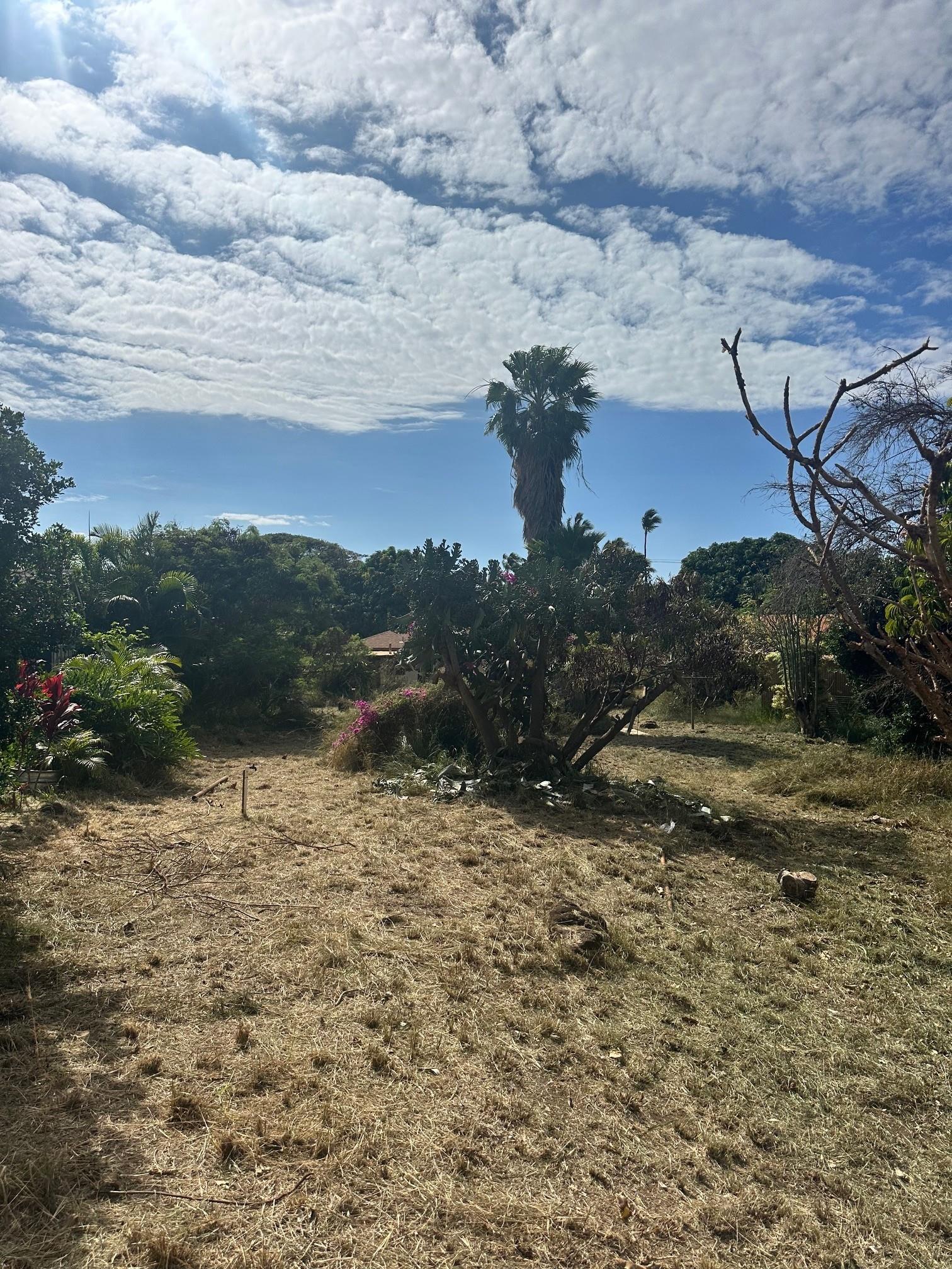 3816 Lower Honoapiilani Rd Property Photo 11