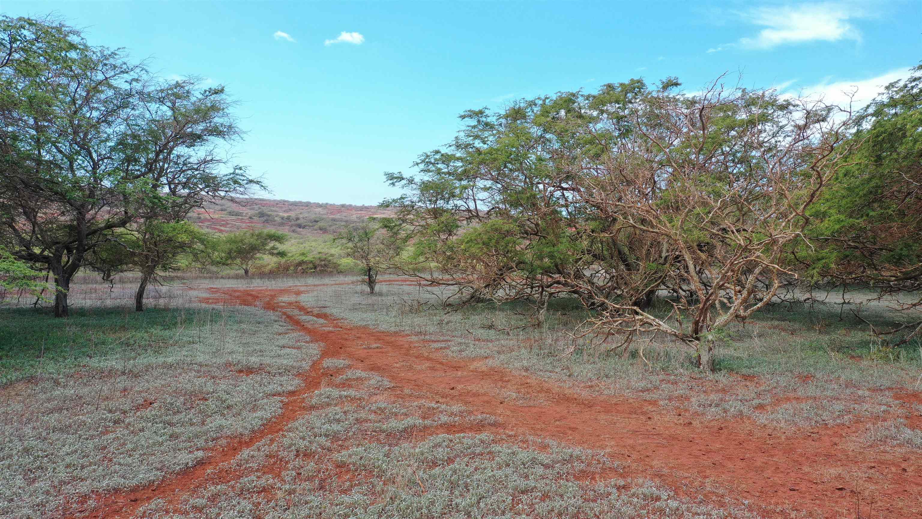 Hao Keehi Pl Property Photo 2