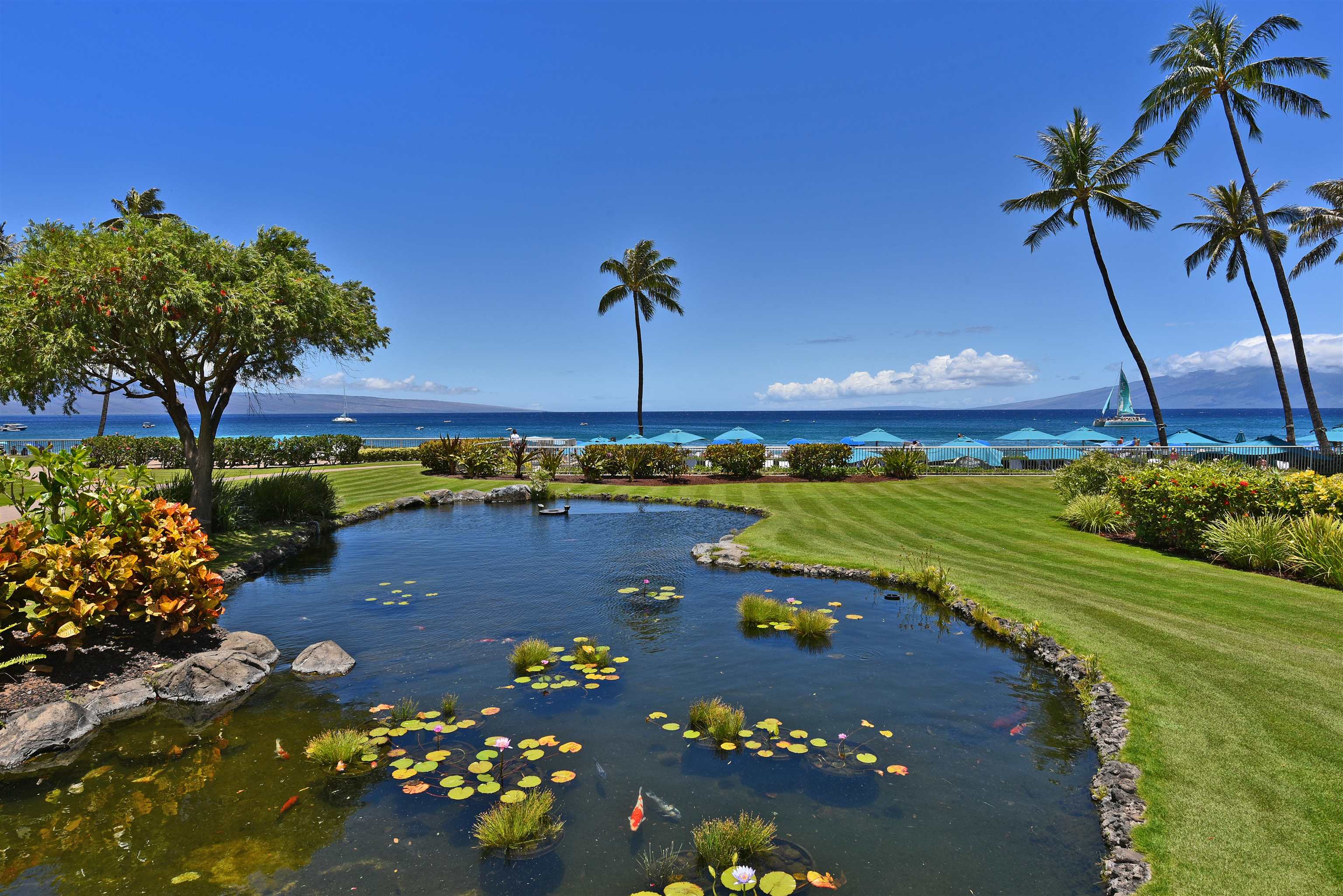 2481 Kaanapali Pkwy Property Photo 47