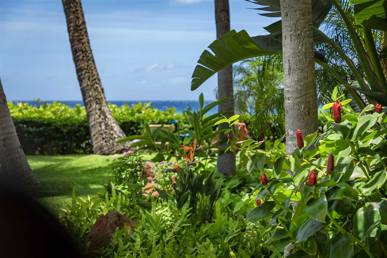 110 Kaanapali Shores Pl Property Photo 24