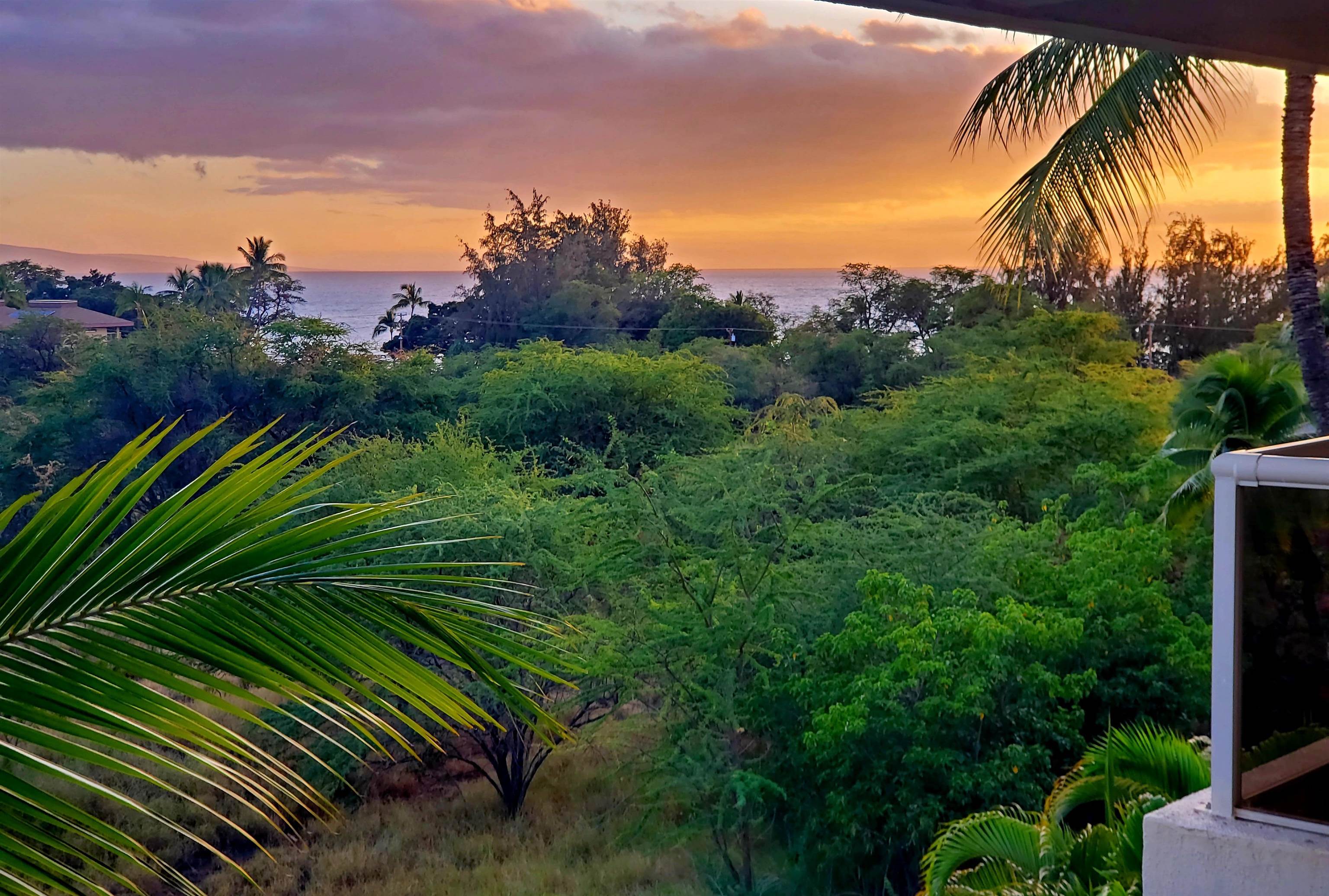 2575 S Kihei Rd Property Photo 3