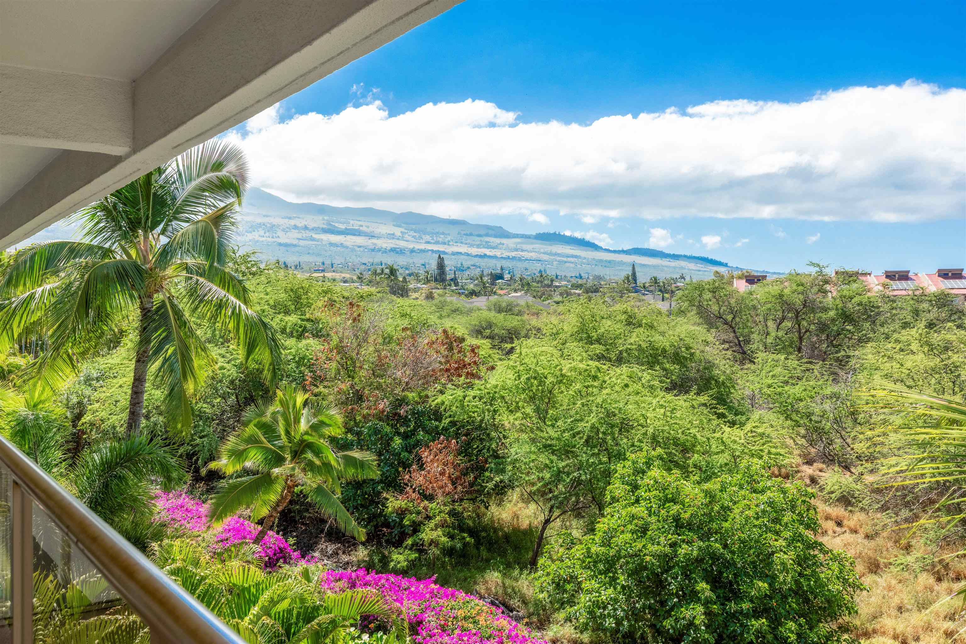 2575 S Kihei Rd Property Photo 15
