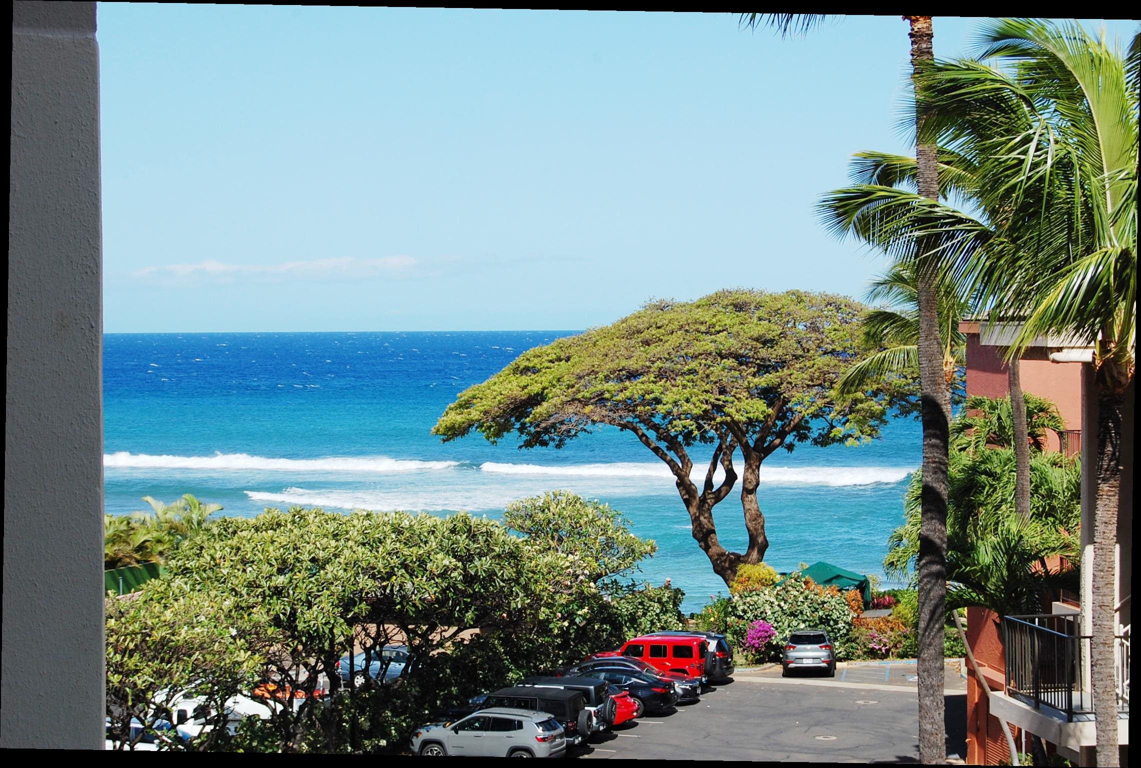 3445 Lower Honoapiilani Rd Property Photo 1