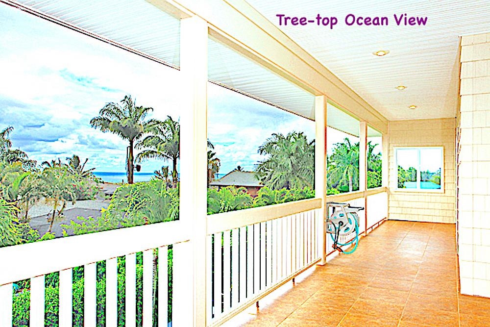 22 Hale Lio Pl Property Photo 10