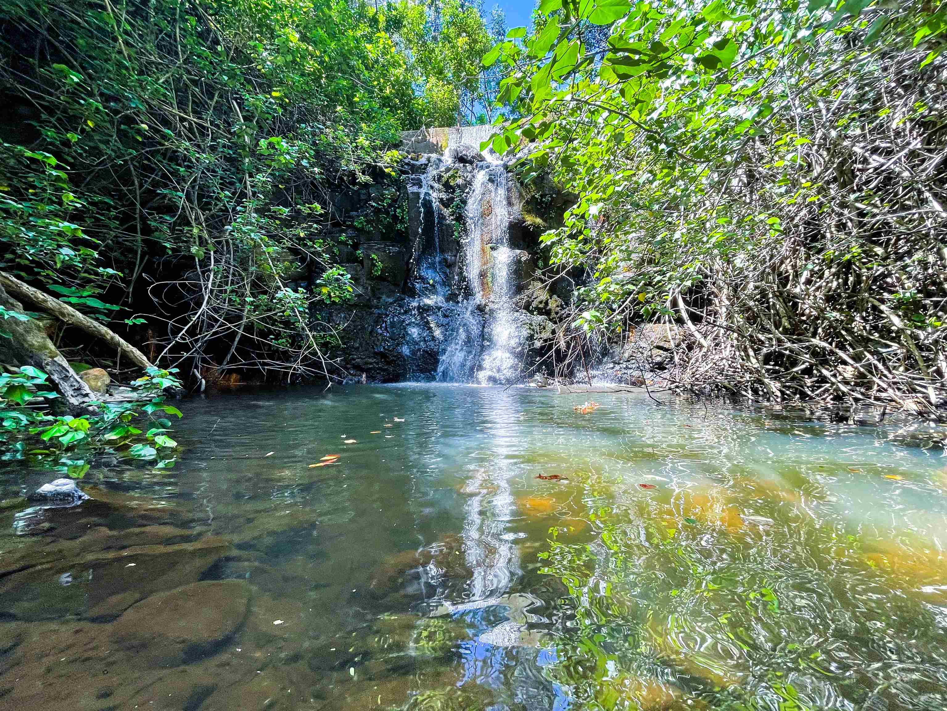 590 E Kuiaha Rd Property Photo 6