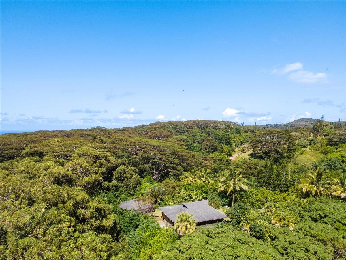 590 E Kuiaha Rd Property Photo 9