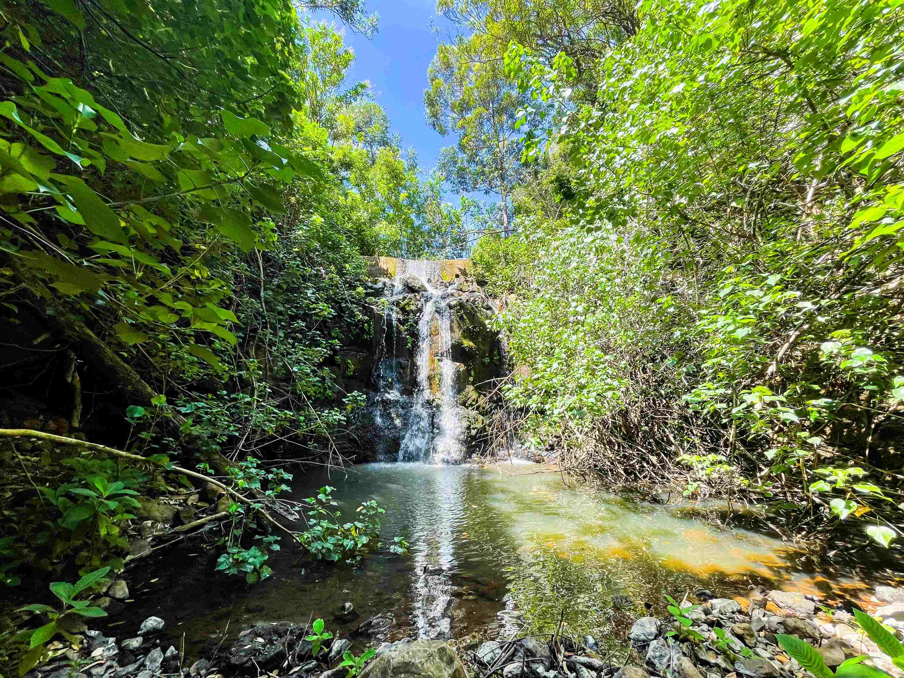 590 E Kuiaha Rd Property Photo 36