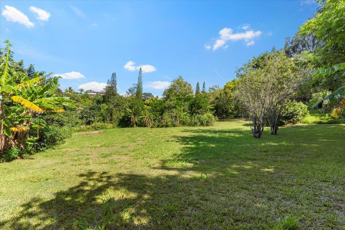 590 E Kuiaha Rd Property Photo 39
