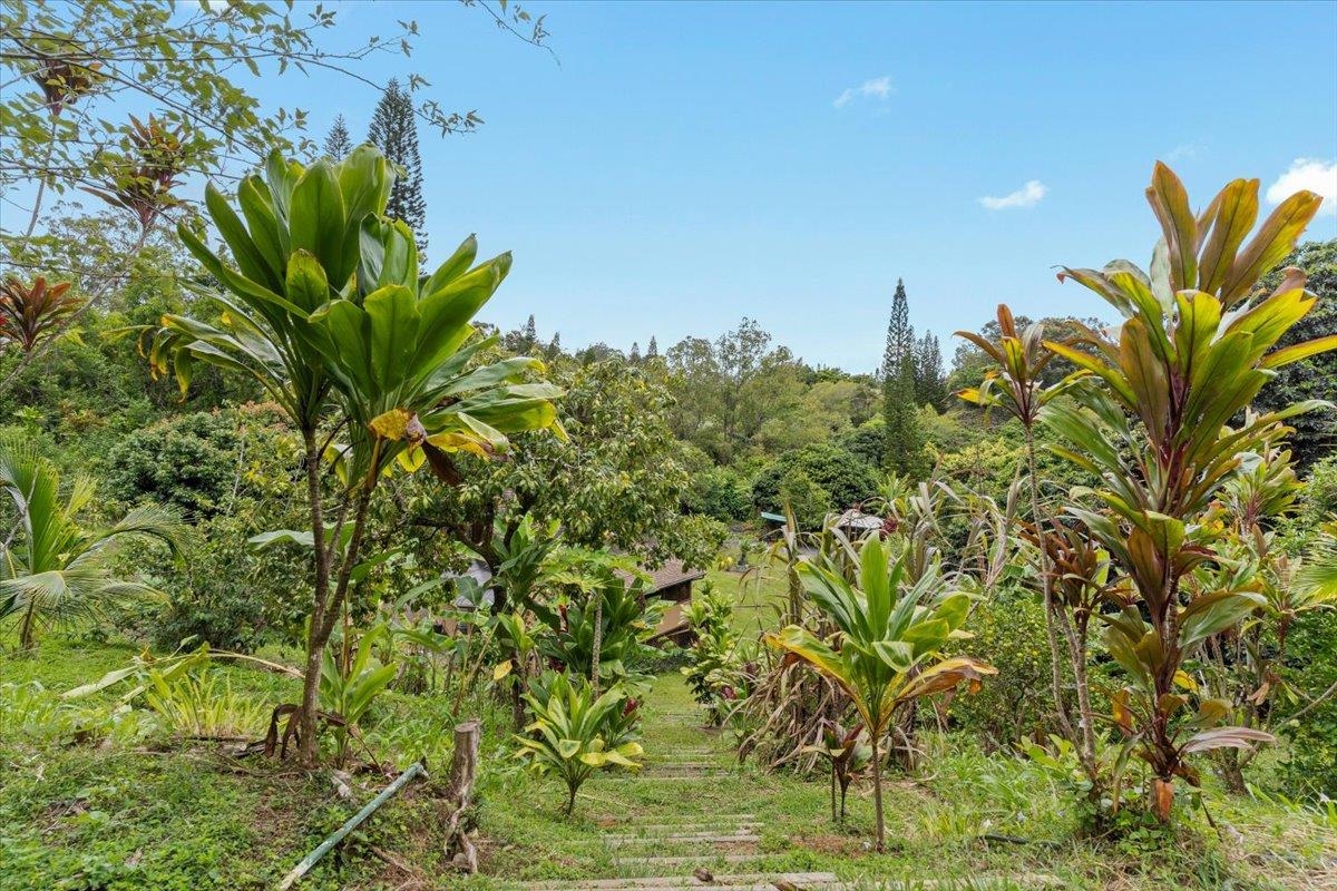 630 E Kuiaha Rd Property Photo 46