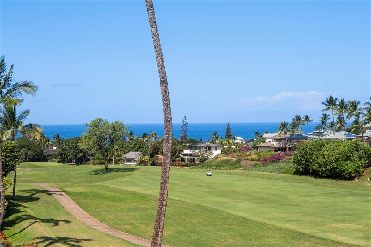 155 Wailea Ike Pl Property Photo 2