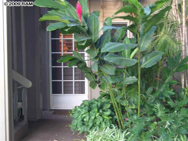 4435 Lower Honoapiilani Property Photo 2