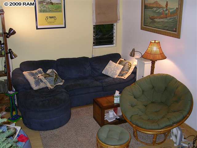 4435 Lower Honoapiilani Property Photo 4