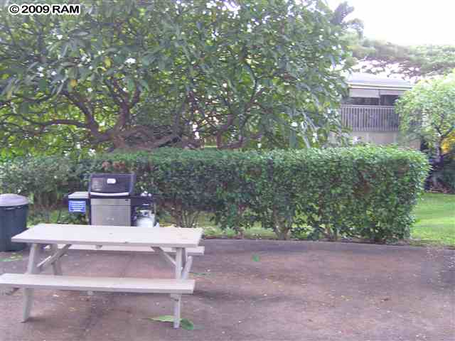 4435 Lower Honoapiilani Property Photo 29