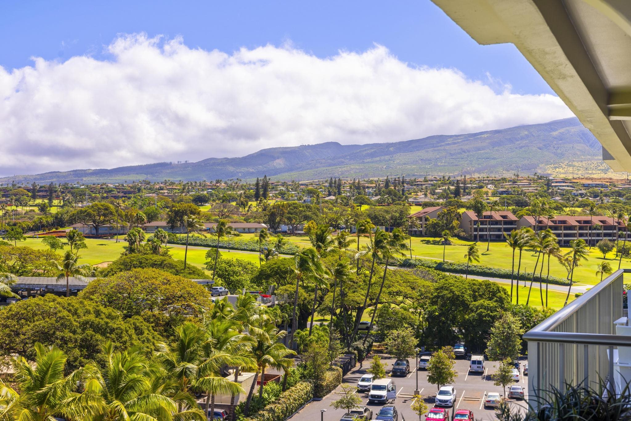 2481 Kaanapali Pkwy Property Photo 5