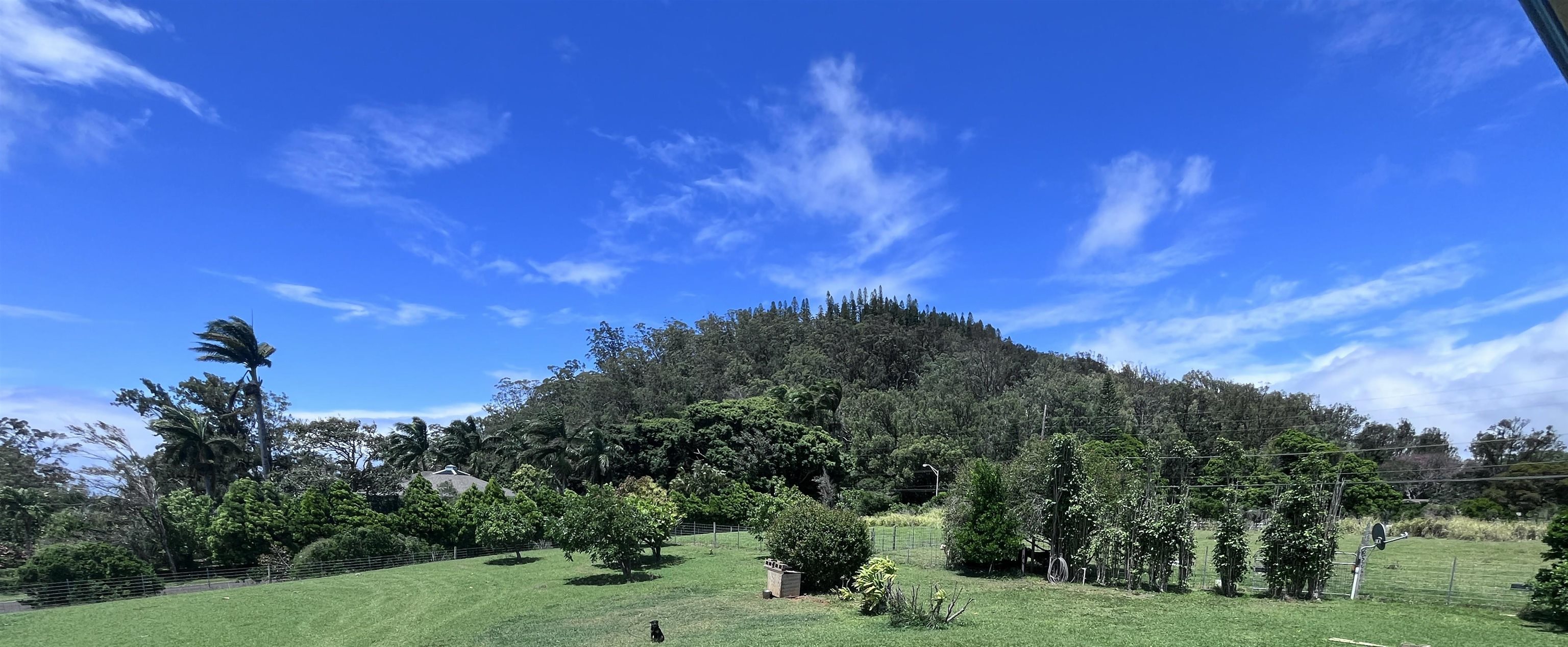 21 Lokelau Pl Property Photo 15
