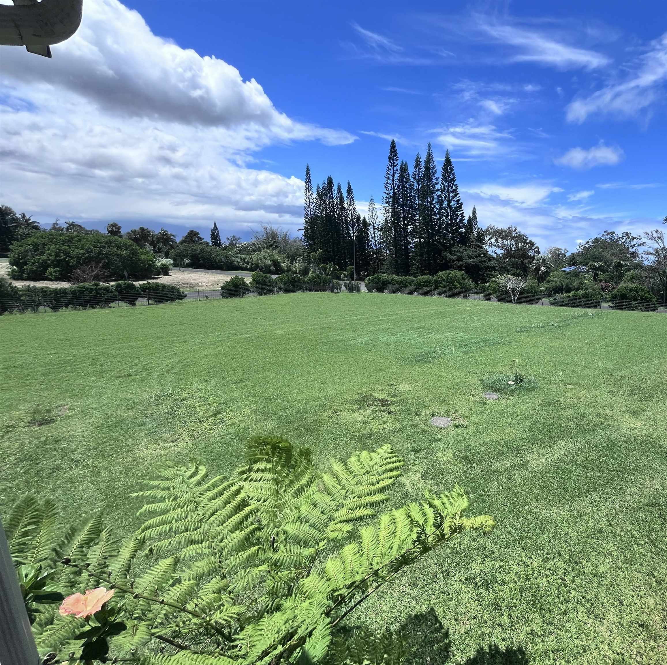 21 Lokelau Pl Property Photo 16