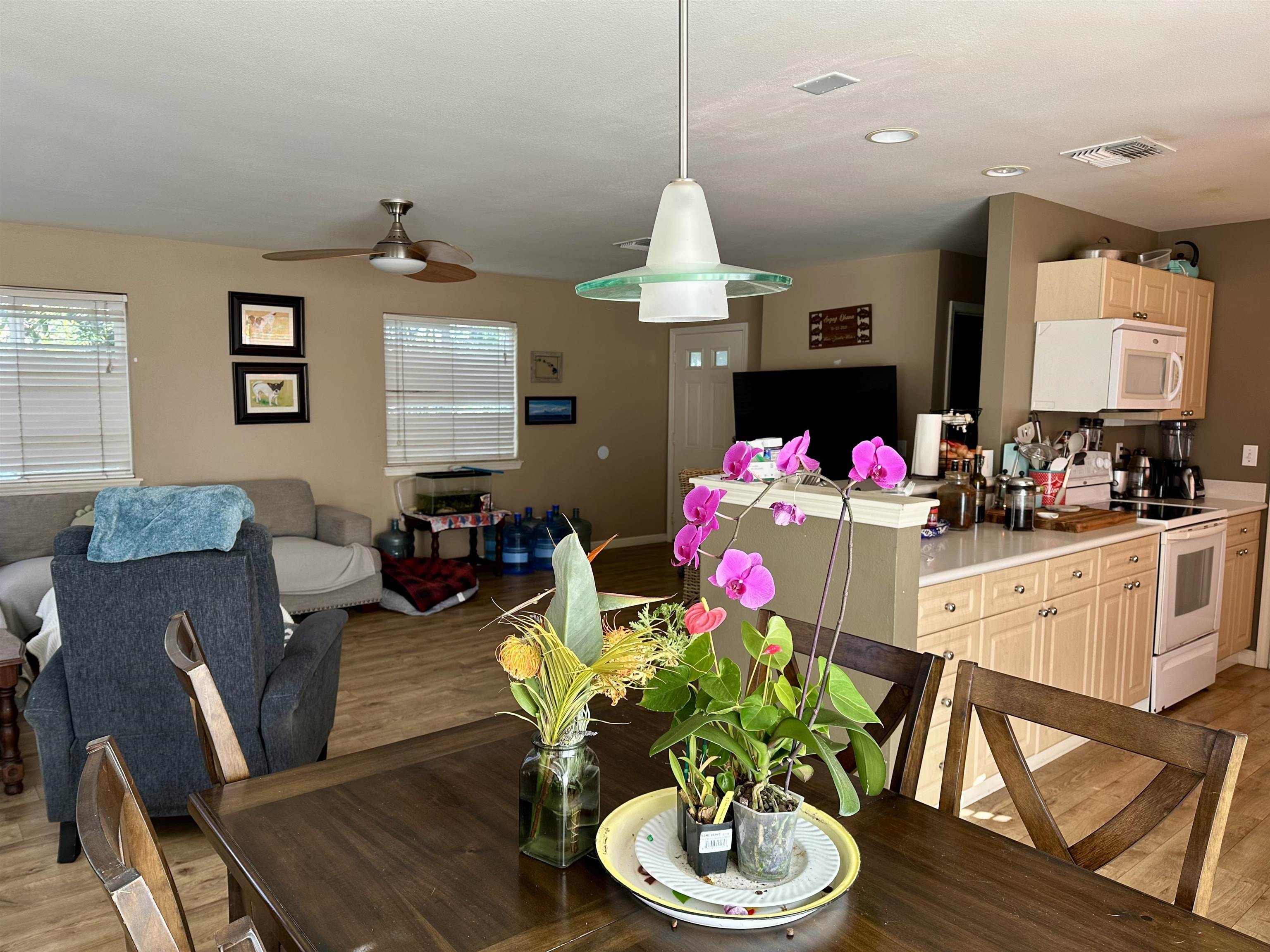 17 Ao Hoku Pl Property Photo 5