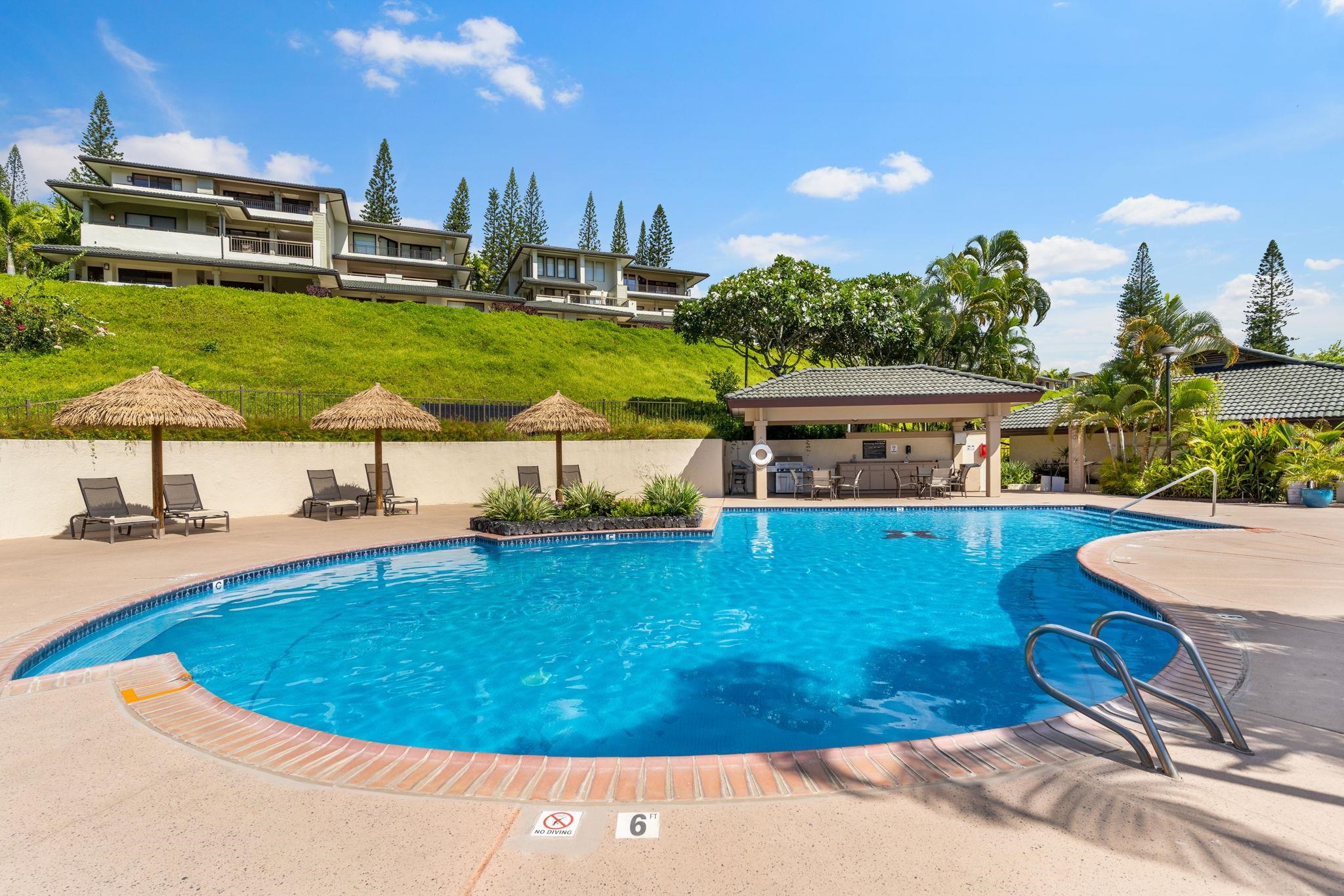 500 Kapalua Dr Property Photo 4