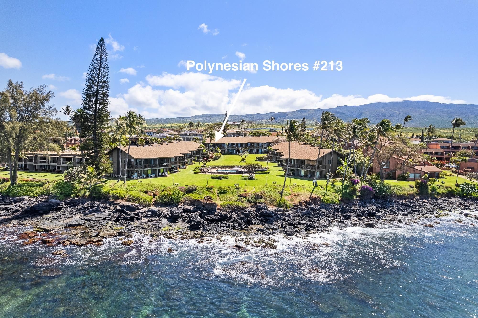 3975 Lower Honoapiilani Rd Property Photo 8