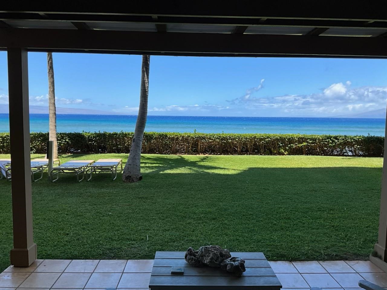 110 Kaanapali Shores Pl Property Photo 15