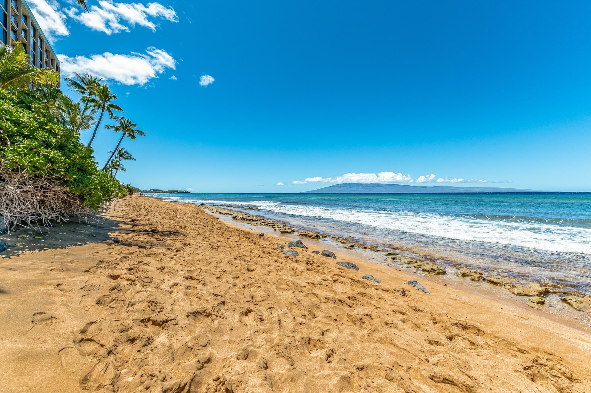 110 Kaanapali Shores Pl Property Photo 33