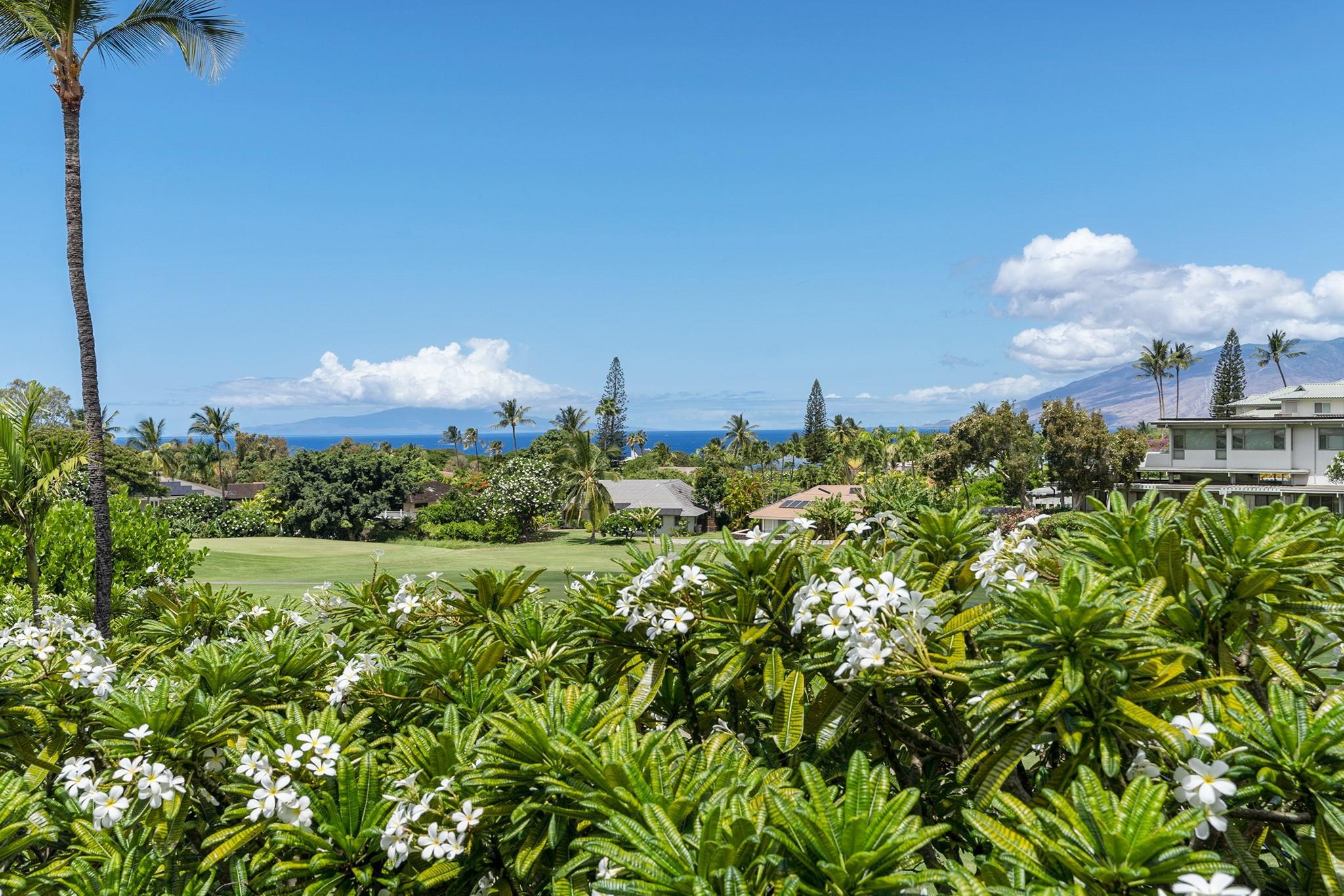 155 Wailea Ike Pl Property Photo 4