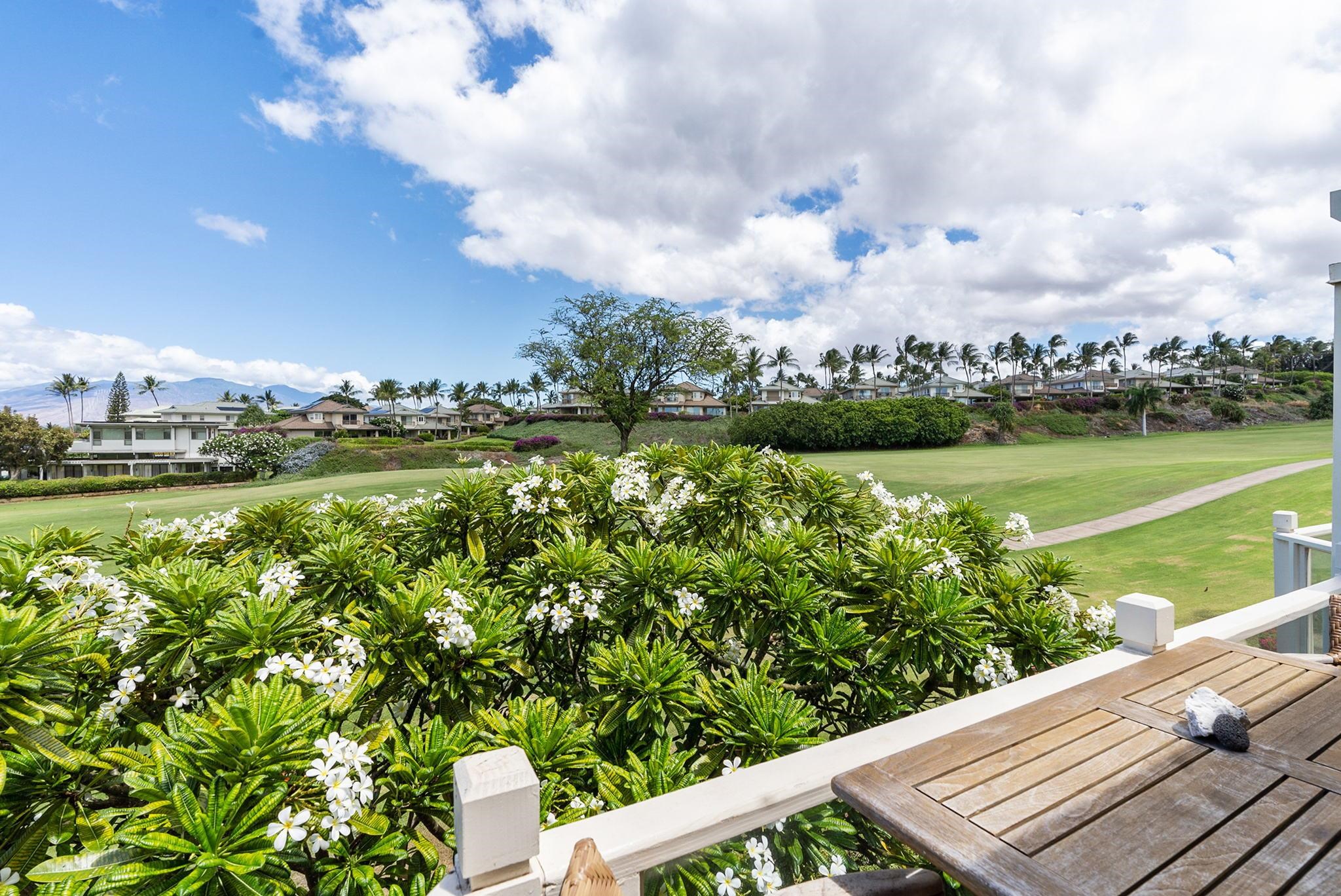 155 Wailea Ike Pl Property Photo 22