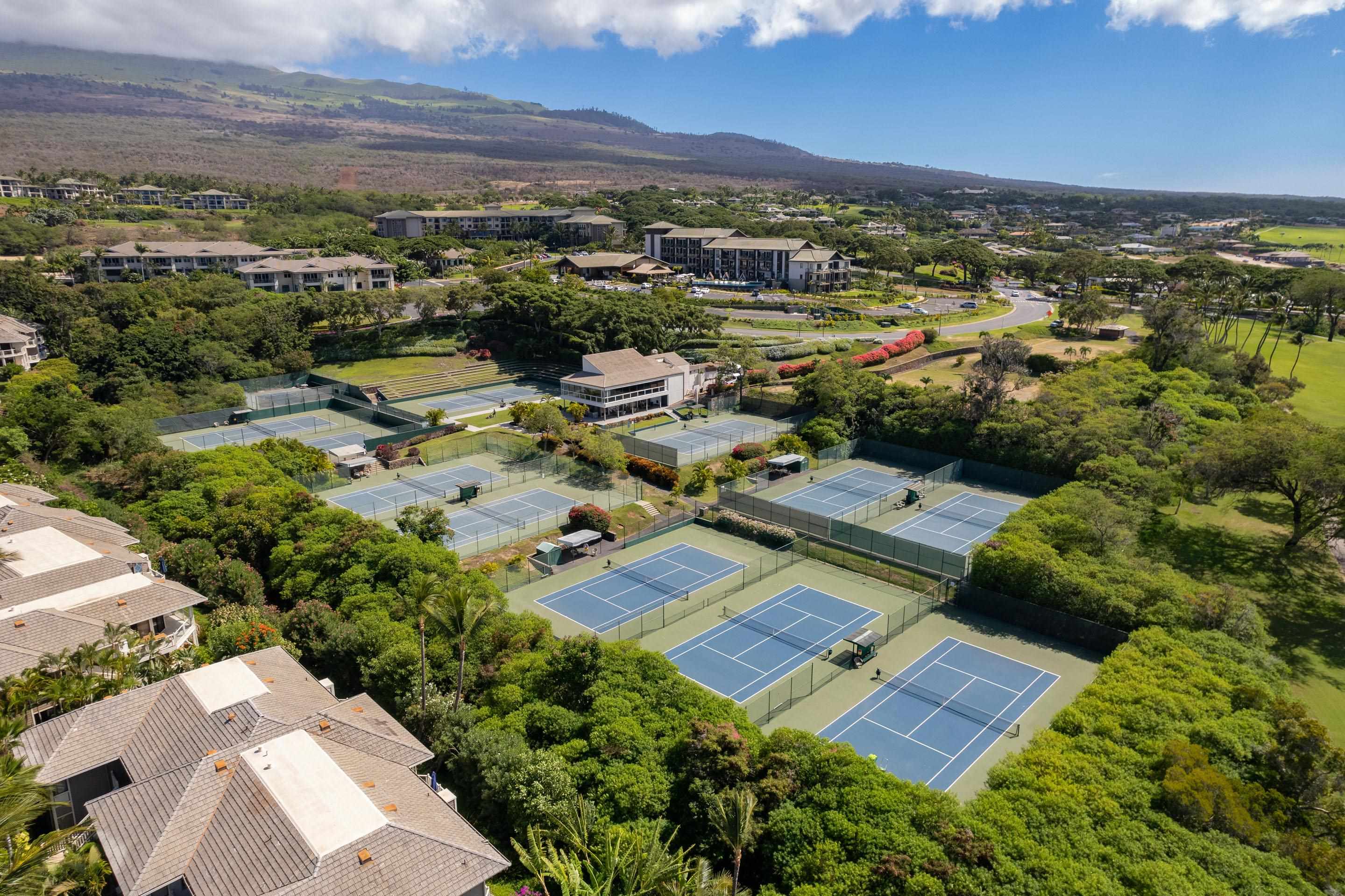 155 Wailea Ike Pl Property Photo 31