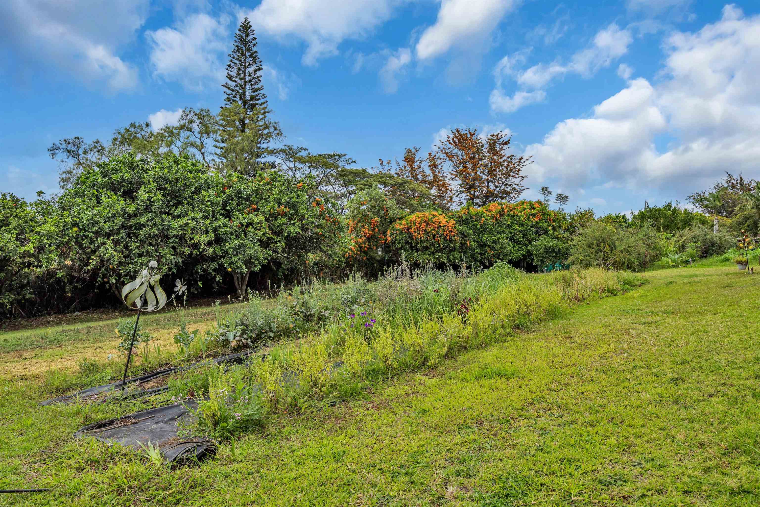 200 Hoopalua Dr Property Photo 41