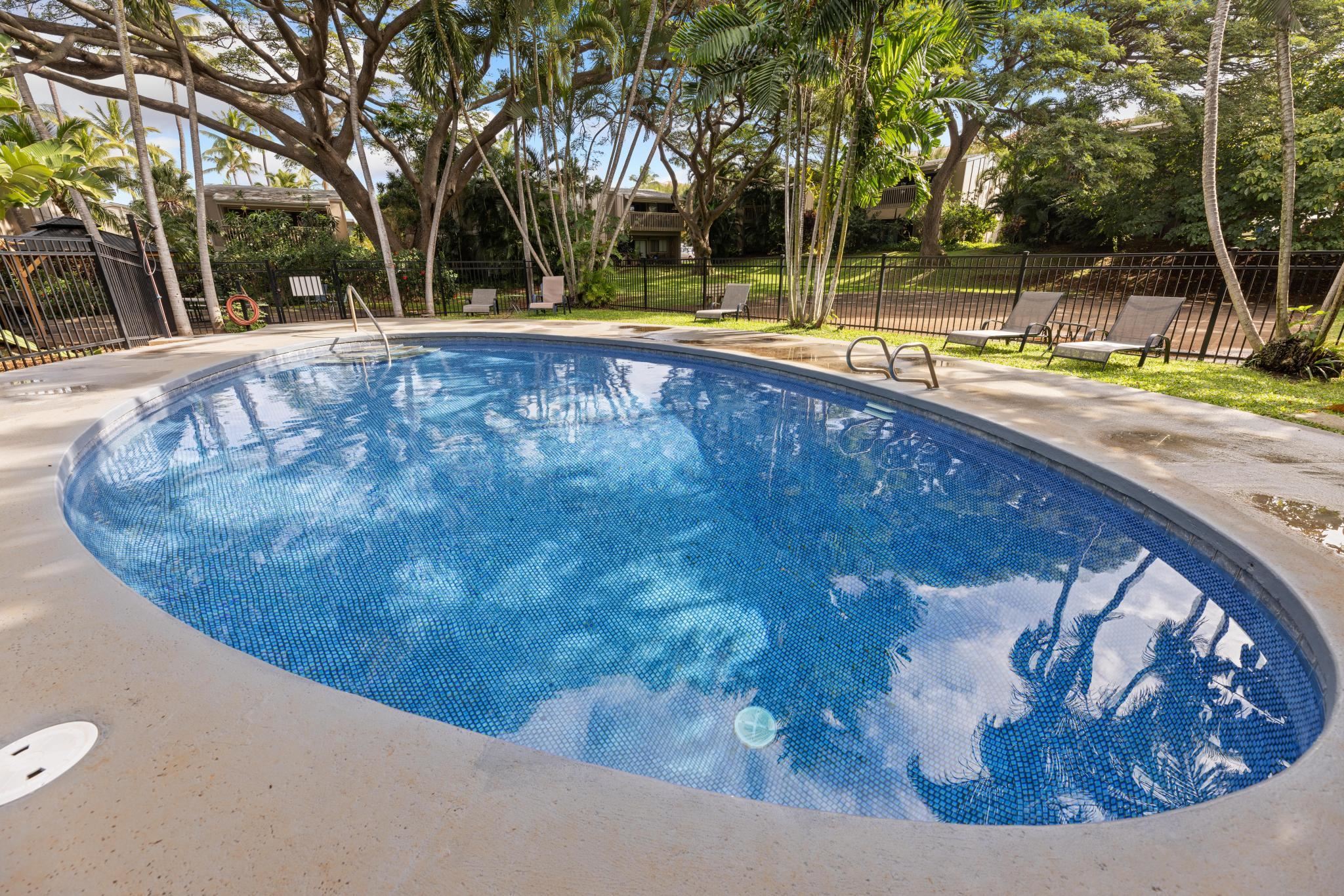 4435 Lower Honoapiilani Rd Property Photo 40