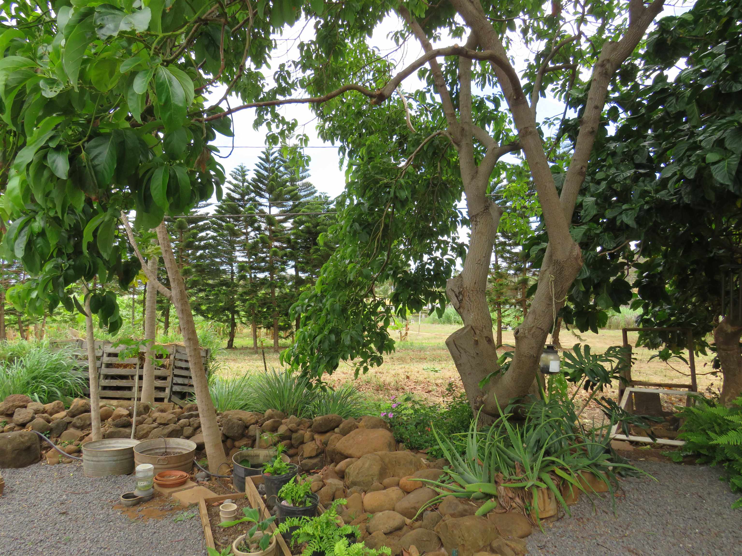 37 Olo Pl Property Photo 12