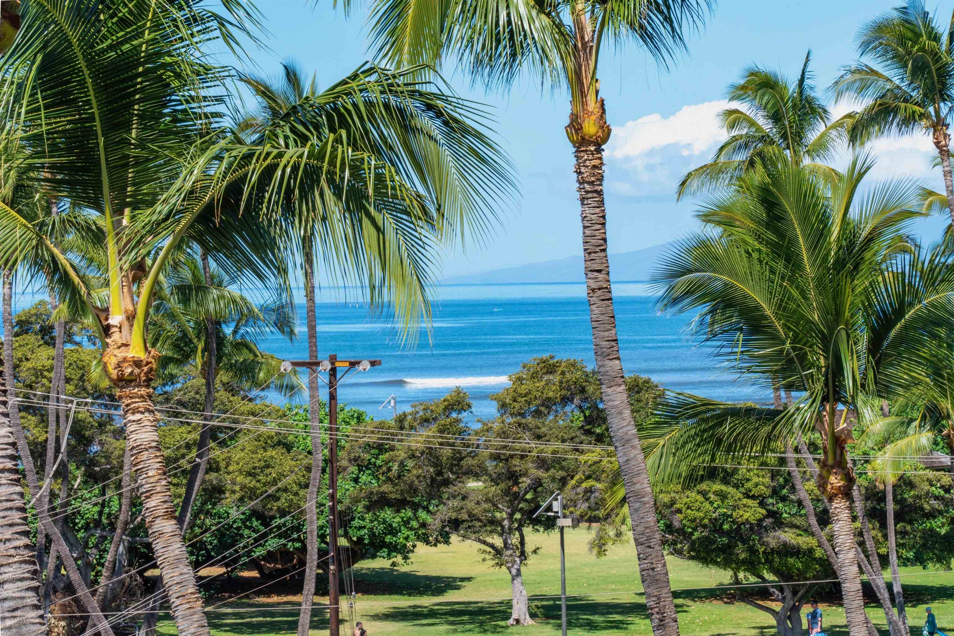 1993 S Kihei Rd Property Photo 28