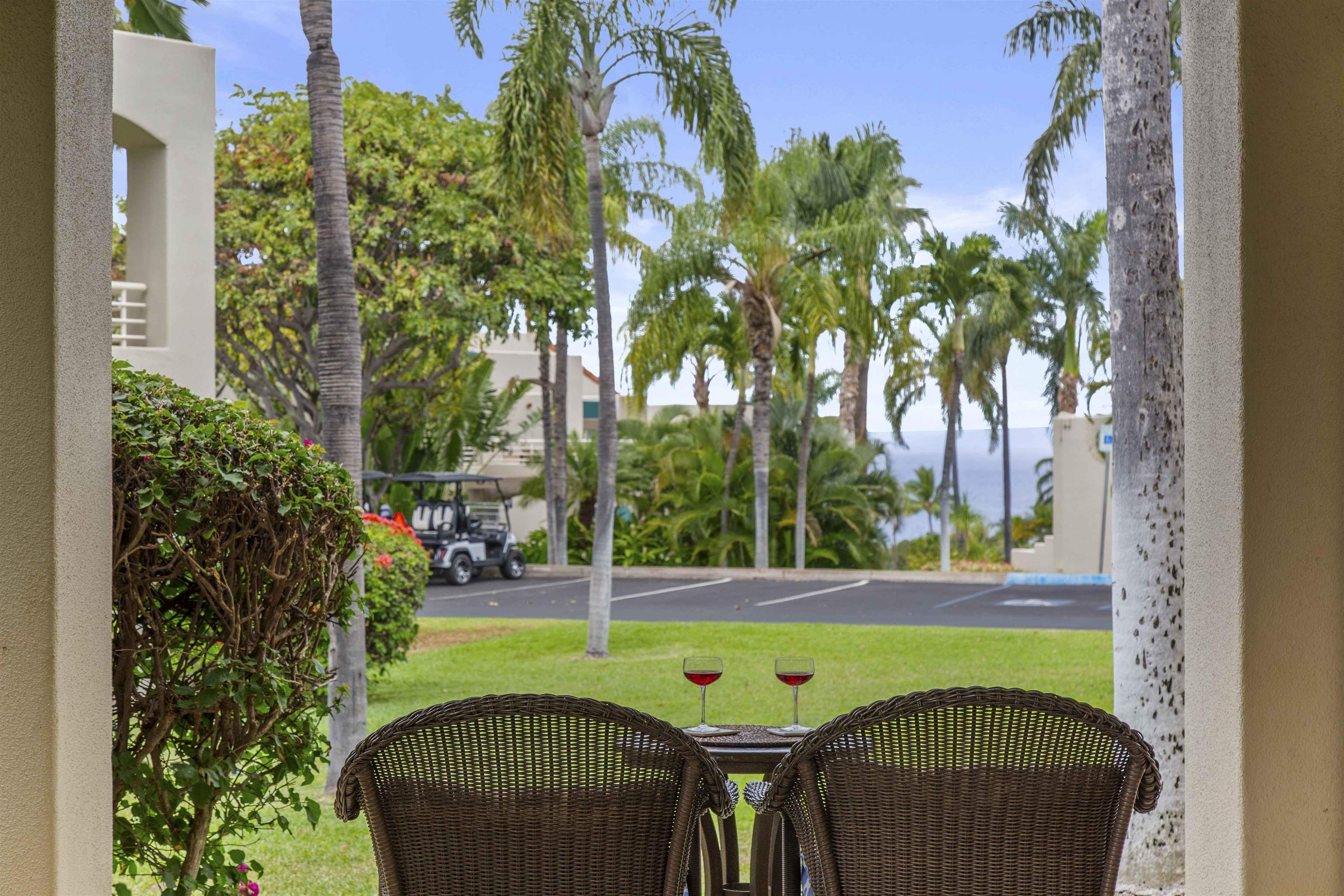 3200 Wailea Alanui Dr Property Photo 2