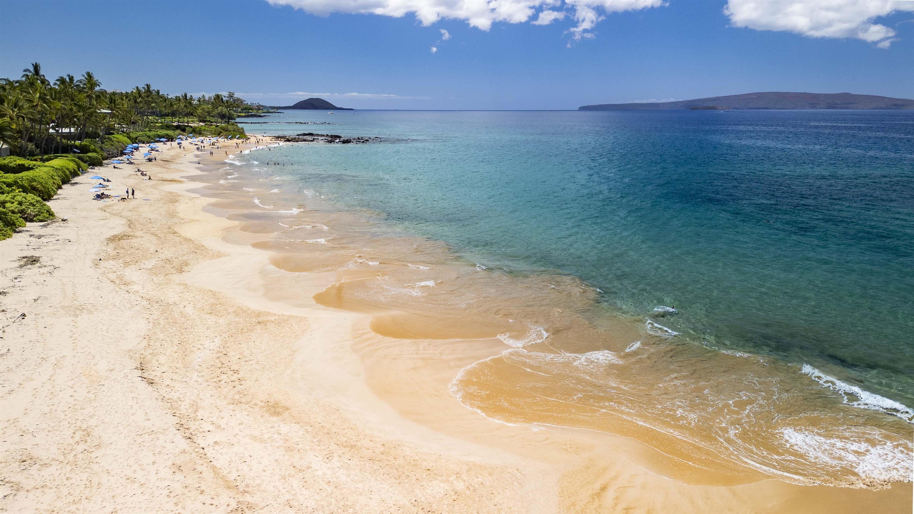 3200 Wailea Alanui Dr Property Photo 28