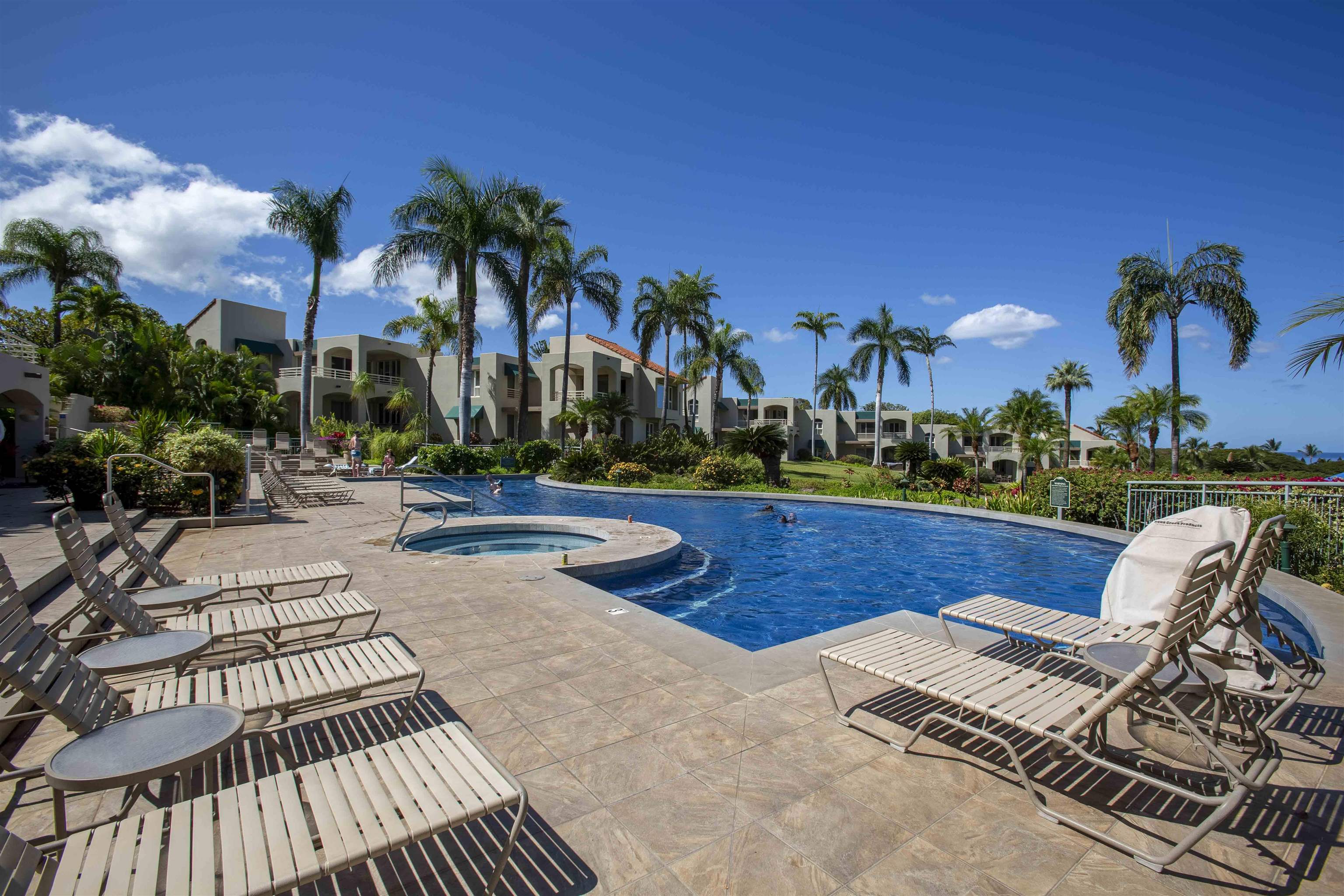 3200 Wailea Alanui Dr Property Photo 49