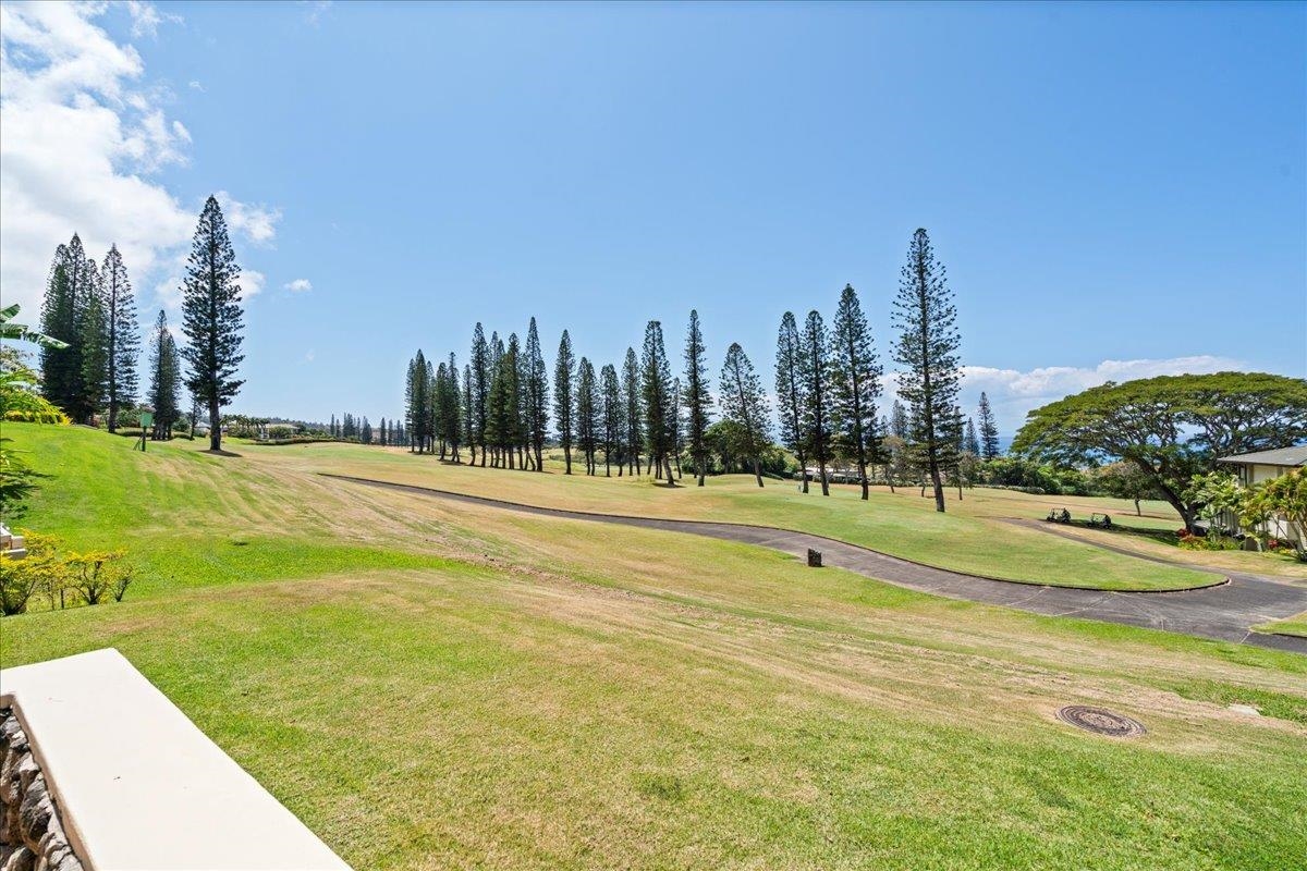 500 Kapalua Dr Property Photo 35