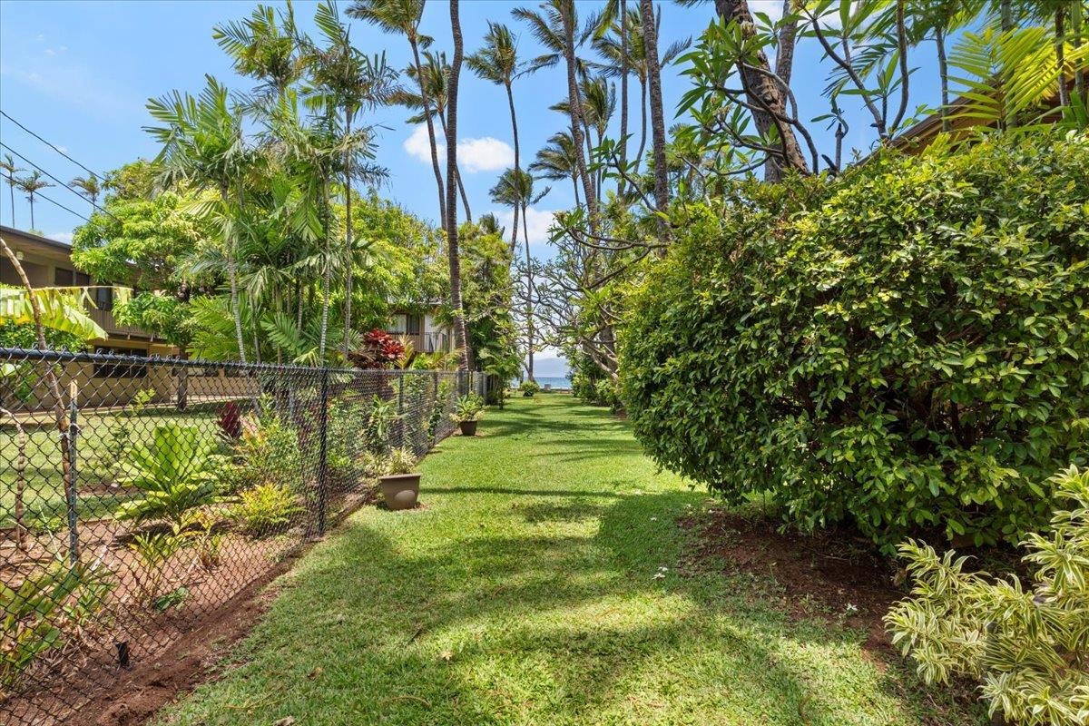 3559 Lower Honoapiilani Rd Property Photo 15