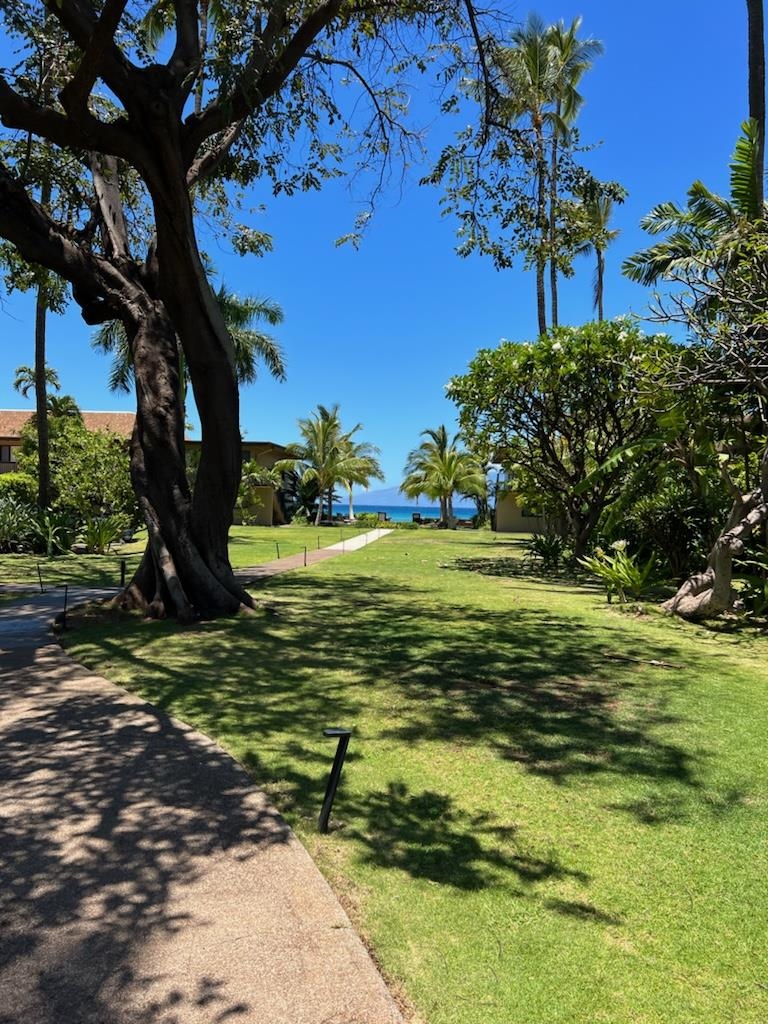 3559 Lower Honoapiilani Rd Property Photo 41