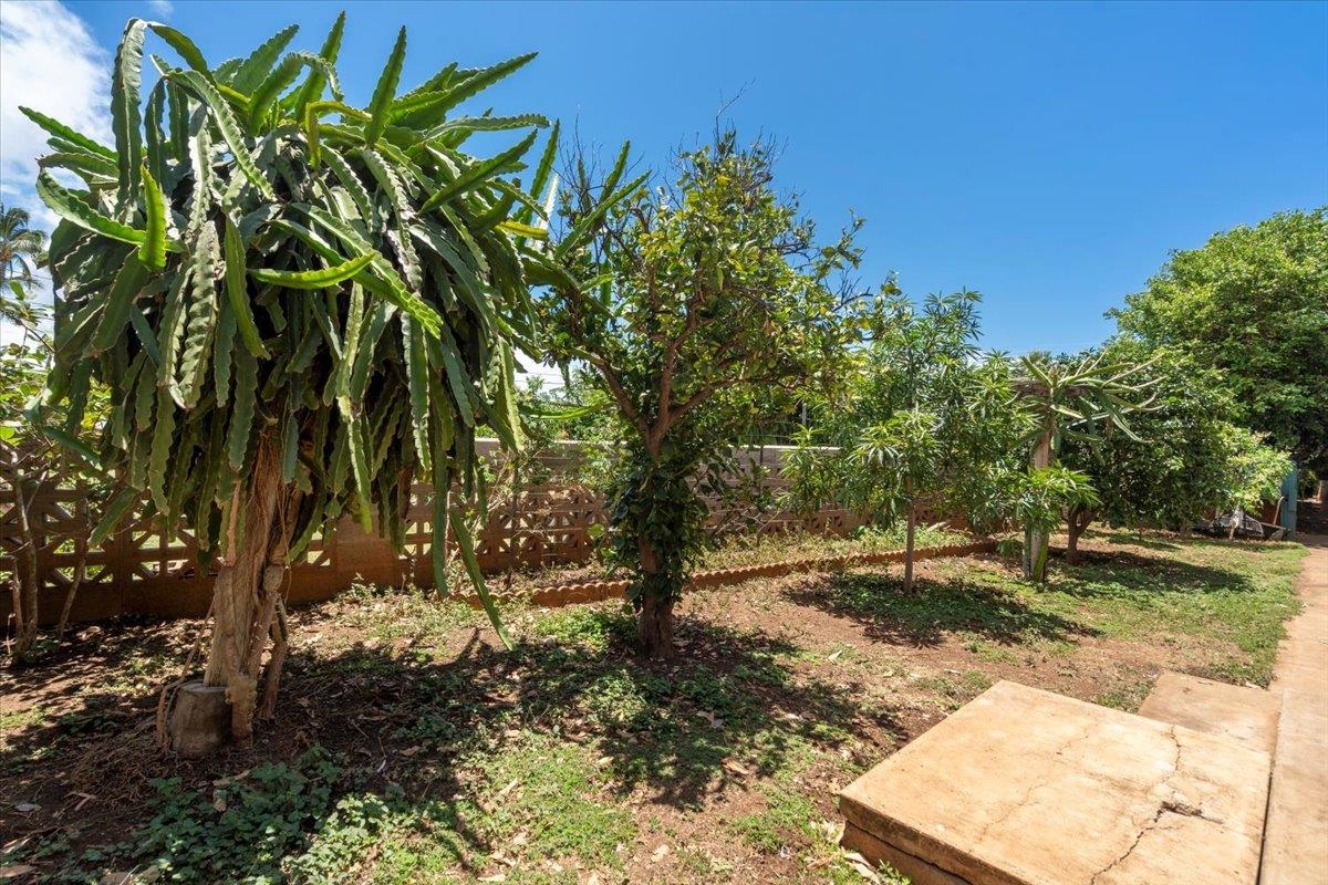 837 Olowalu Village Rd Property Photo 43