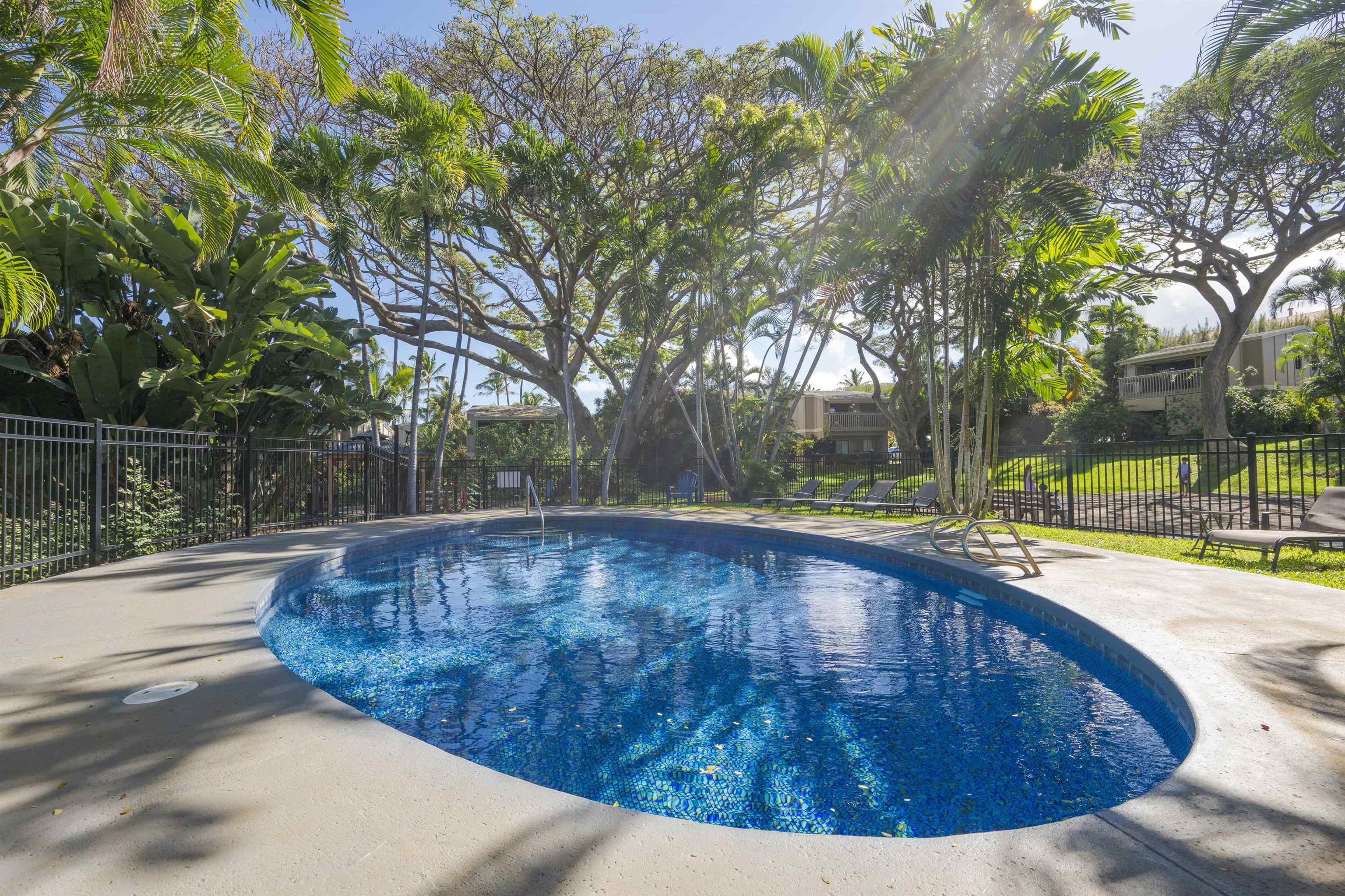 4440 Lower Honoapiilani Rd Property Photo 30