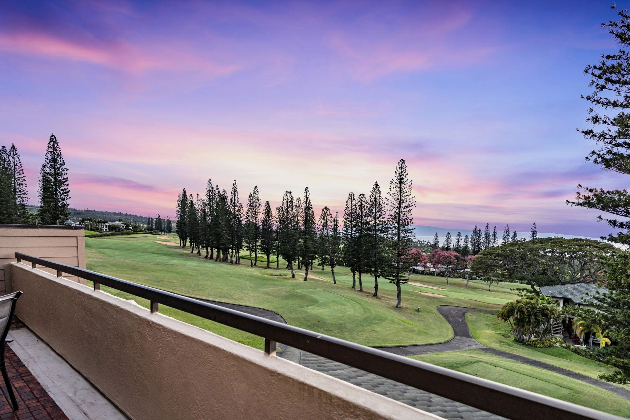 500 Kapalua Dr Property Photo 24