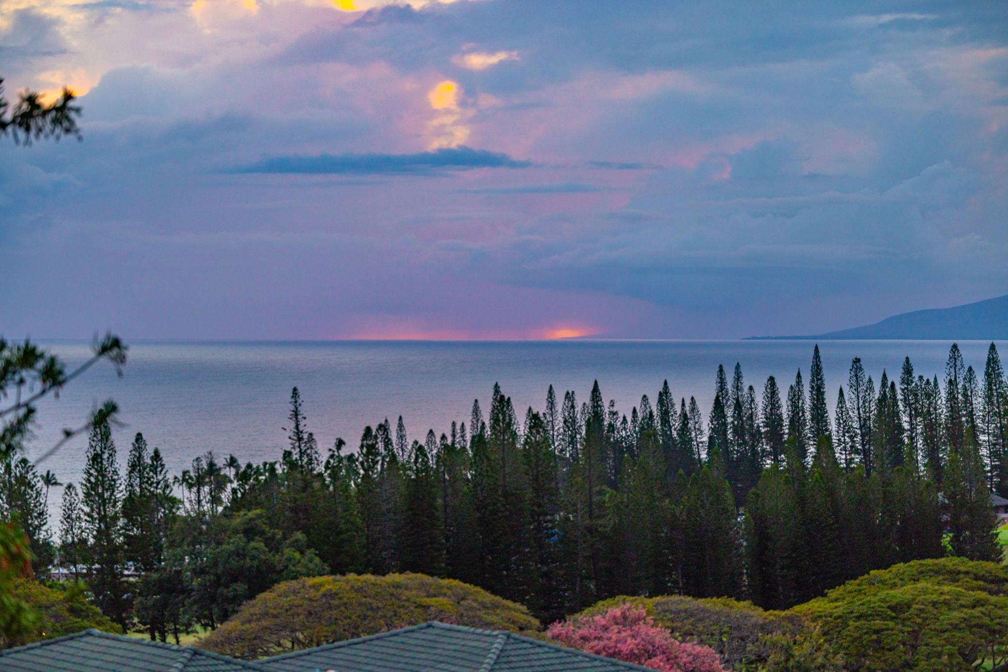 500 Kapalua Dr Property Photo 29