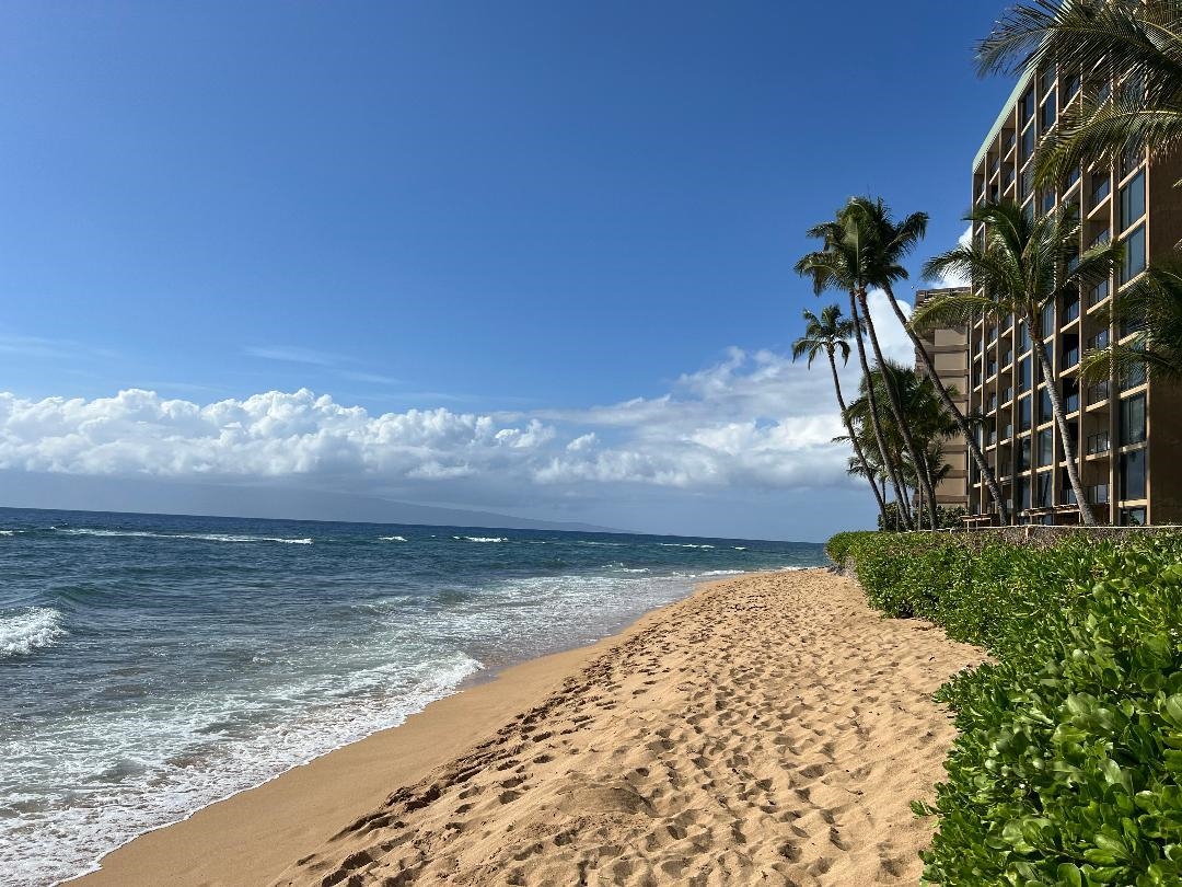 110 Kaanapali Shores Pl Property Photo 6