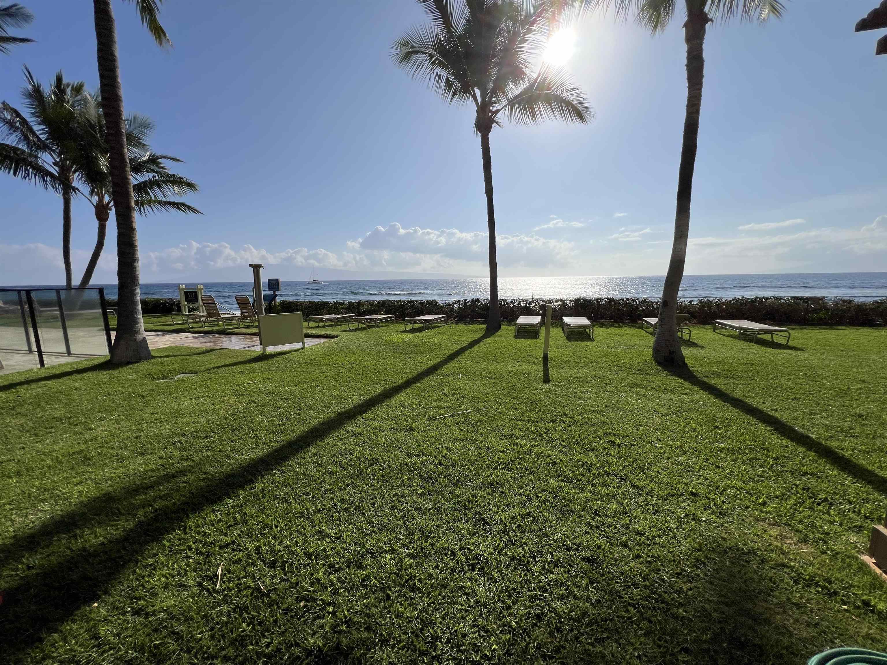 110 Kaanapali Shores Pl Property Photo 37