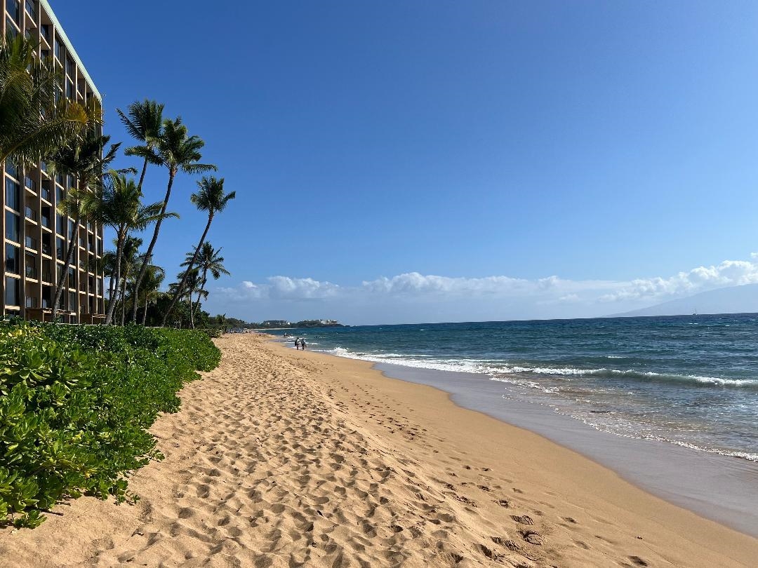 110 Kaanapali Shores Pl Property Photo 49