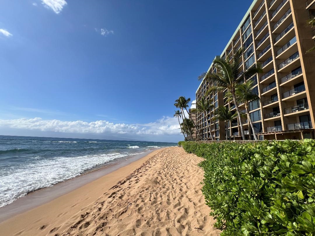 110 Kaanapali Shores Pl Property Photo 50
