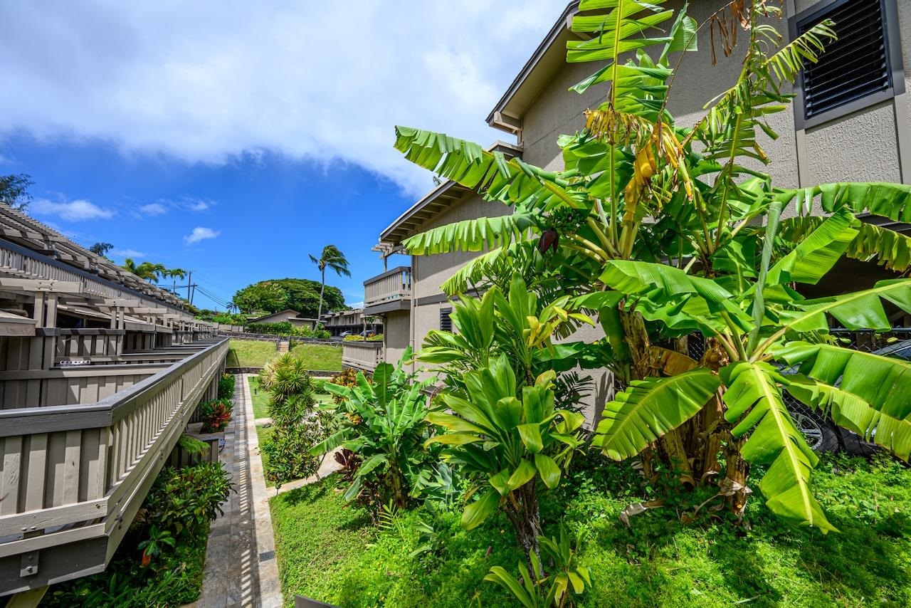 4909 Lower Honoapiilani Rd Property Photo 47