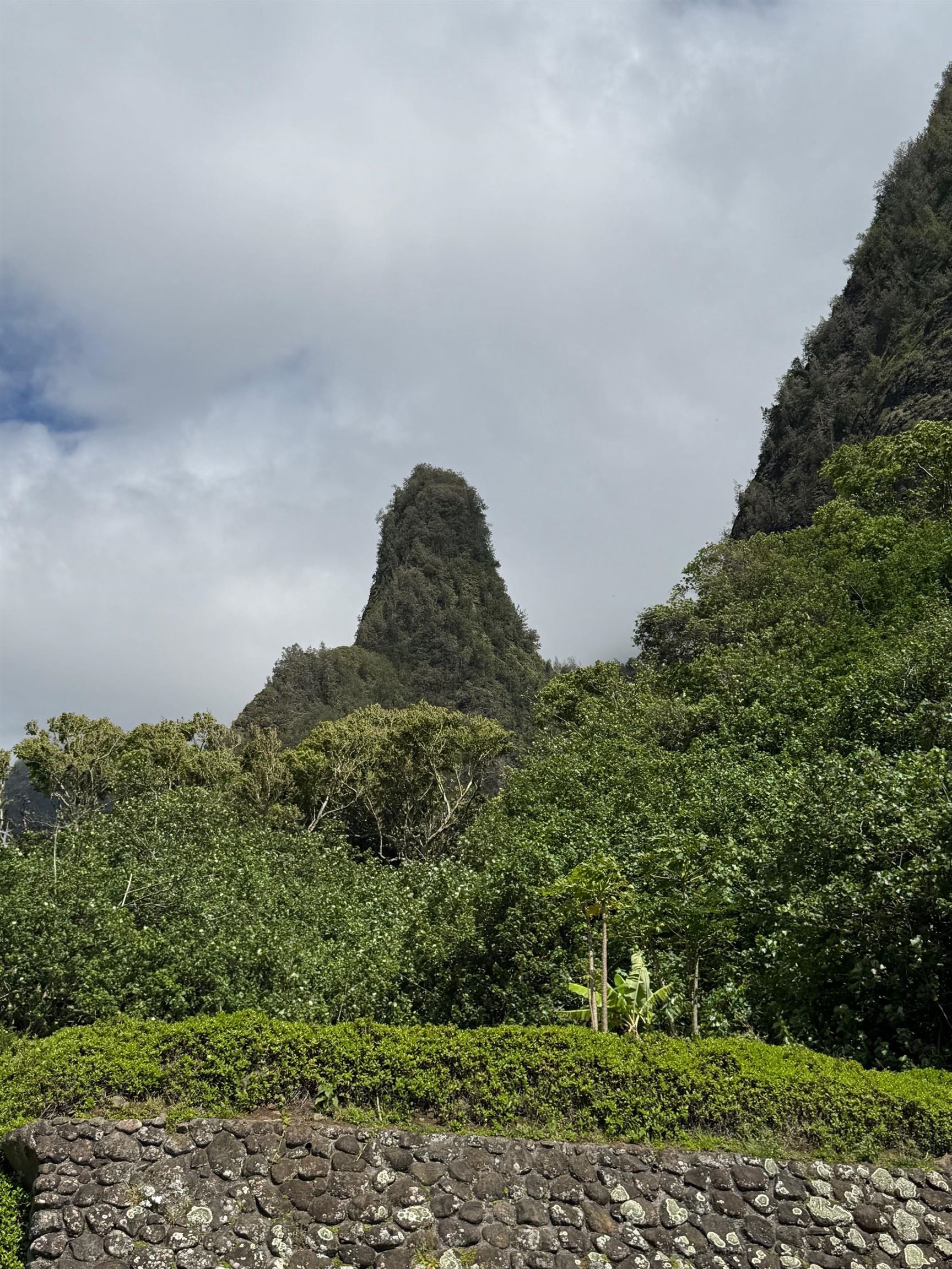 Iao Valley Rd Property Photo