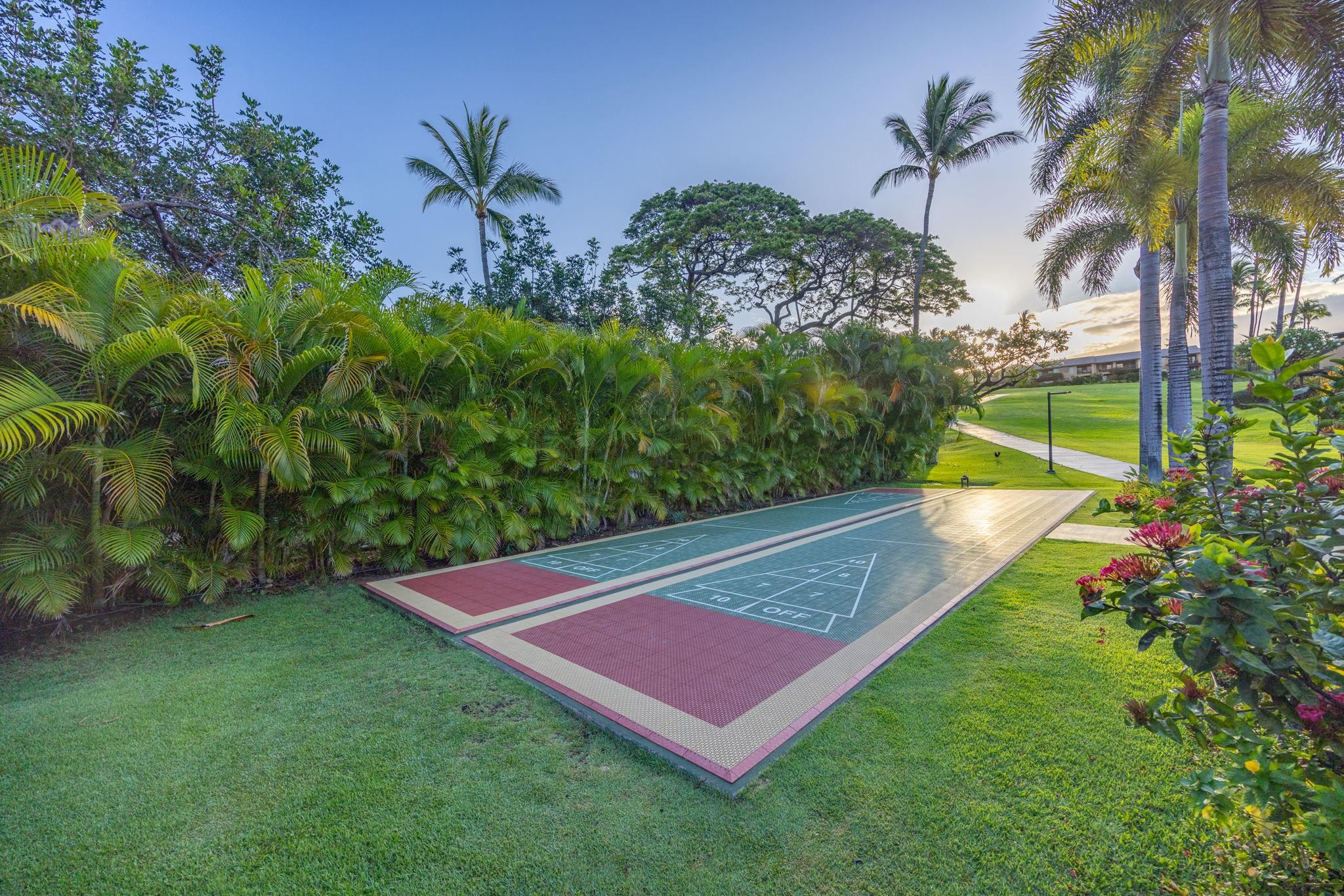 3300 Wailea Alanui Dr Property Photo 41